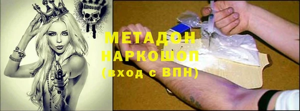 PSILOCYBIN Алзамай