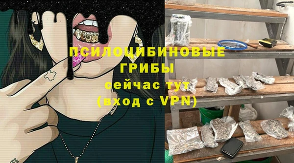 стаф Алексеевка