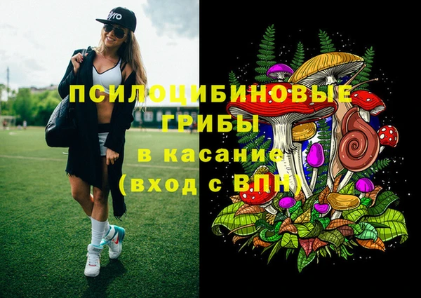 стаф Алексеевка