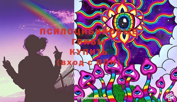 PSILOCYBIN Алзамай