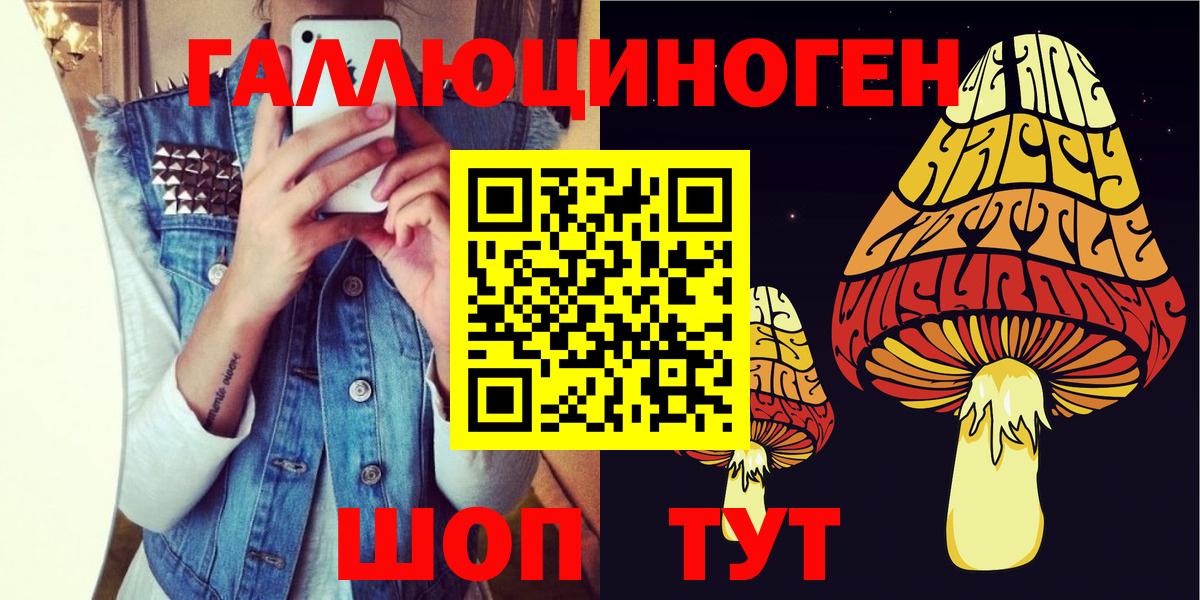Псилоцибиновые грибы Psilocybe  Вход с VPN  Нарткала 